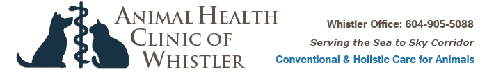 Whistler Veterinarian – Animal Health Clinic of Whistler